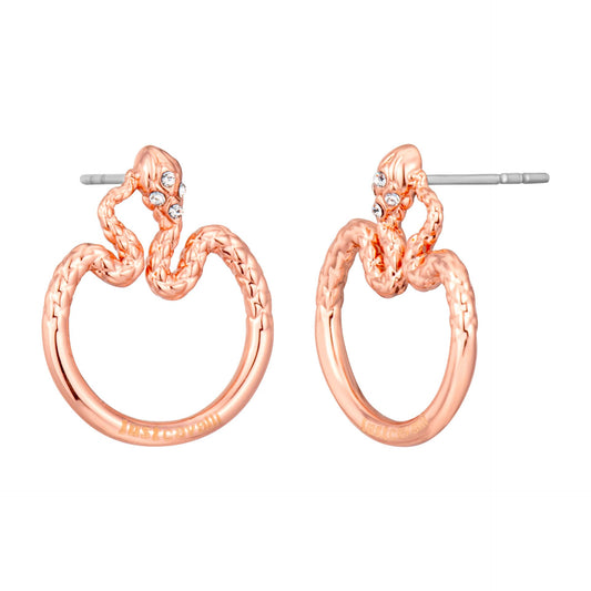 Just Cavalli Orecchini